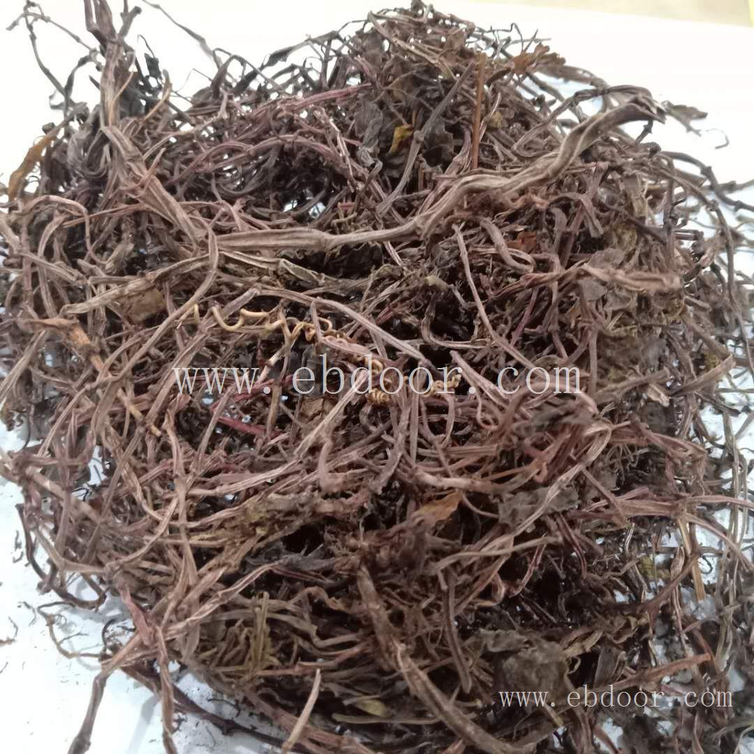 石蝉草 黑龙江石蝉草销售厂家
