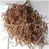 玉簪花根 南阳哪里有卖玉簪花根
