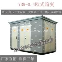 户外箱式变电站 箱式变电站 预装式变电站 欧变YBW-50-1600KVA