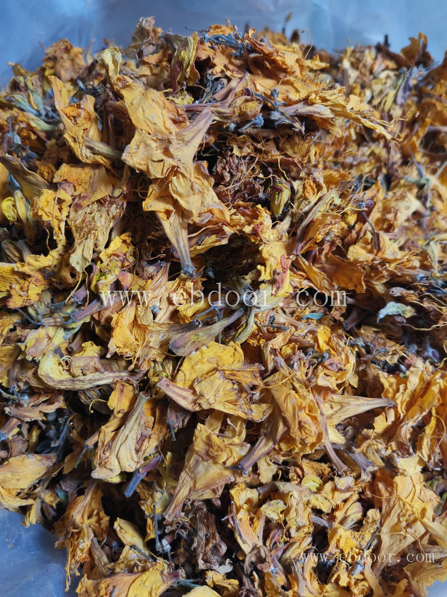 闹羊花 重庆供应闹羊花