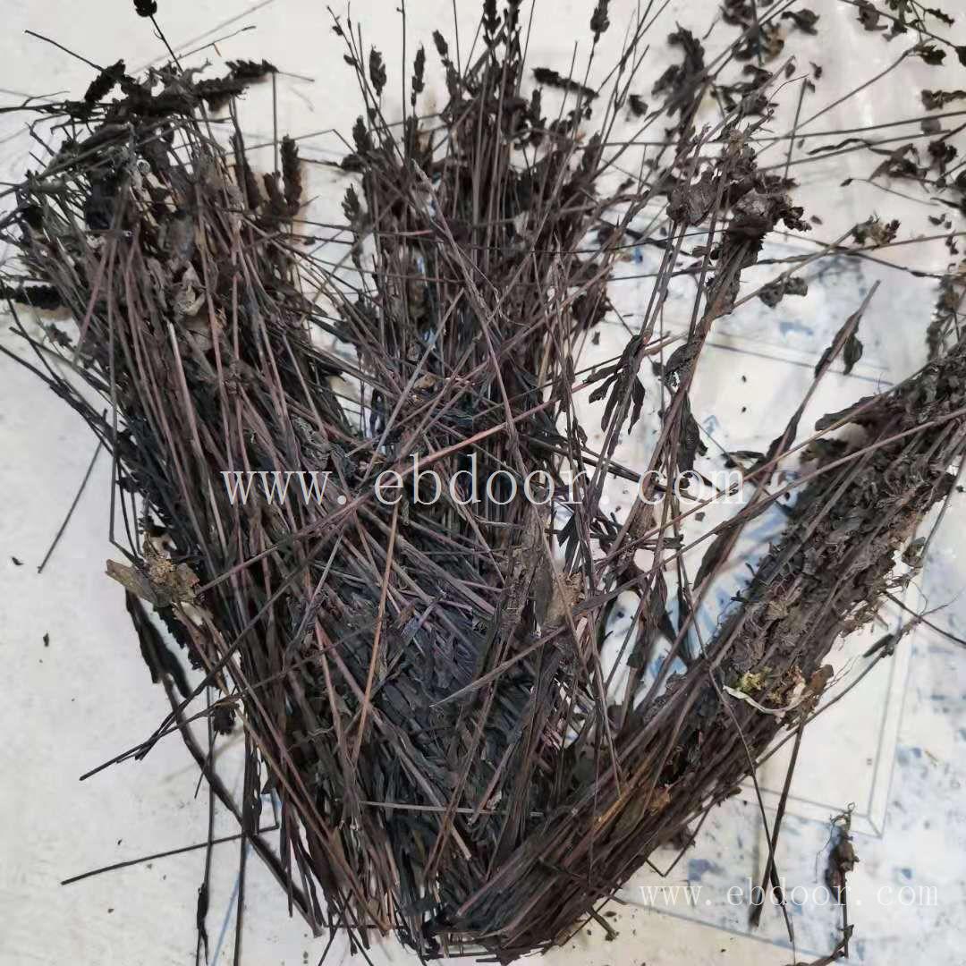 鬼羽箭 岳阳哪里有卖鬼羽箭