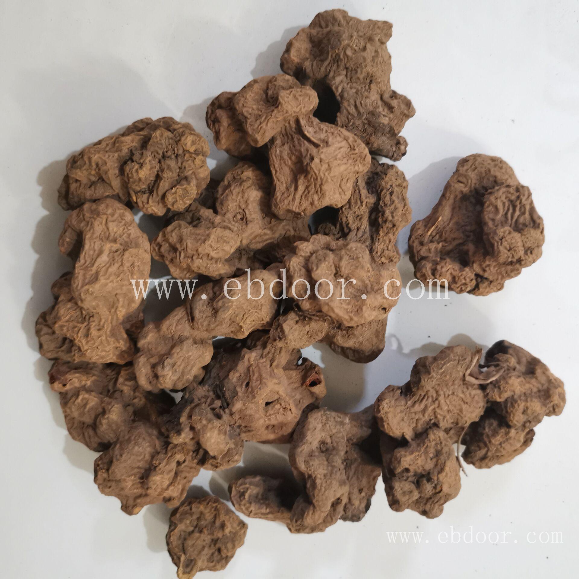 朱砂莲 商丘朱砂莲种类