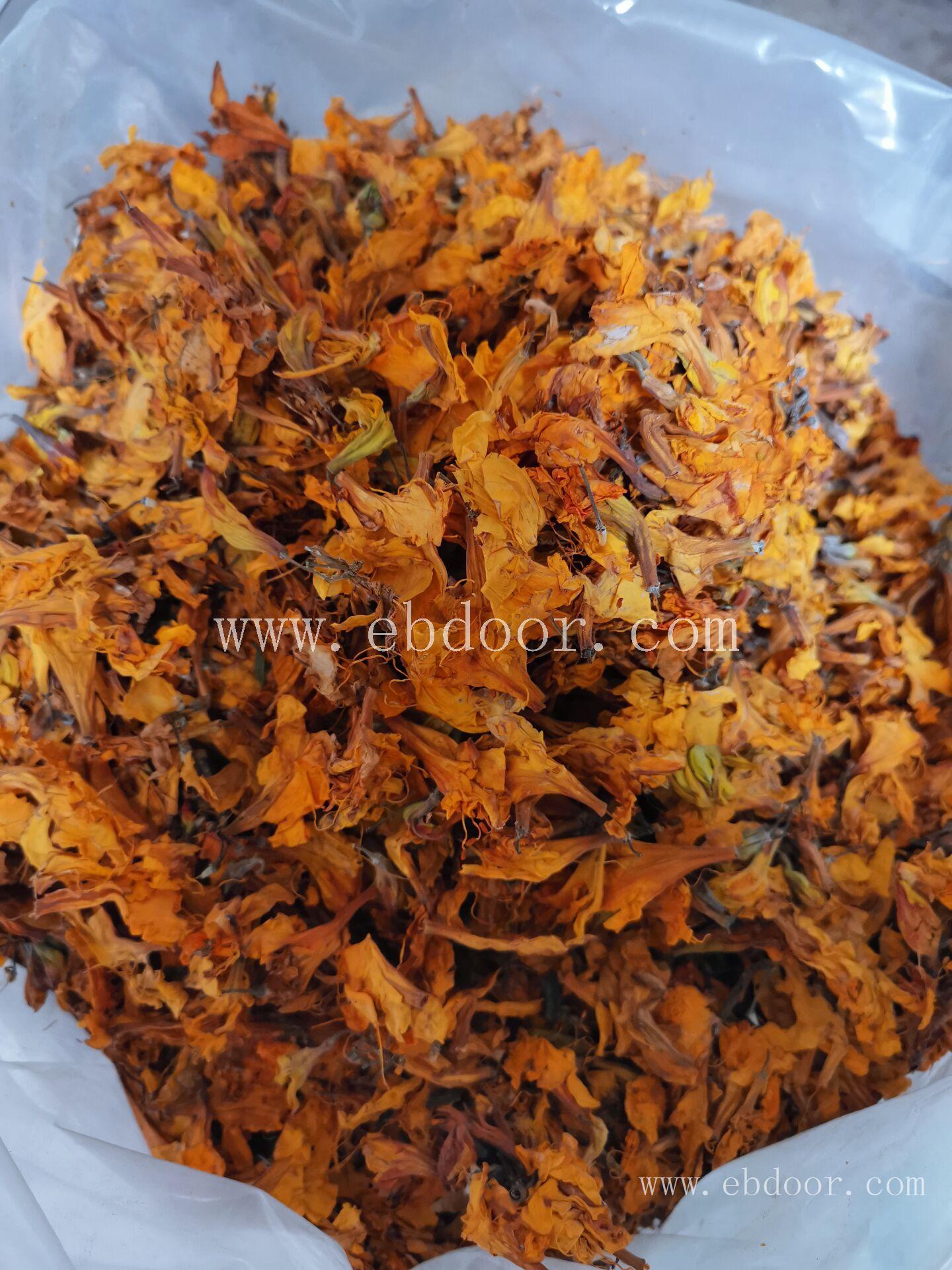 闹羊花 娄底闹羊花哪家销售
