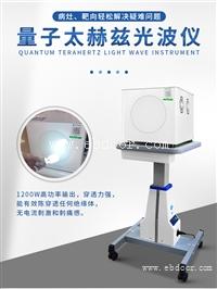 娜兰娇全身理疗量子钛赫光波仪仪器厂家批发定制