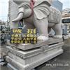 福建大型石雕大象厂 石大象动物