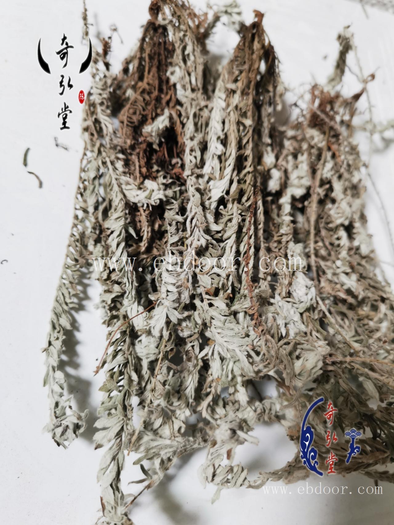 鹿茸草 驻马店鹿茸草供应