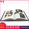 印刷厂家 宣传海报设计印刷 画册图册印刷供应