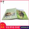 广州门窗画册定制 印刷各种铜版纸书刊图册 宣传单价格实惠
