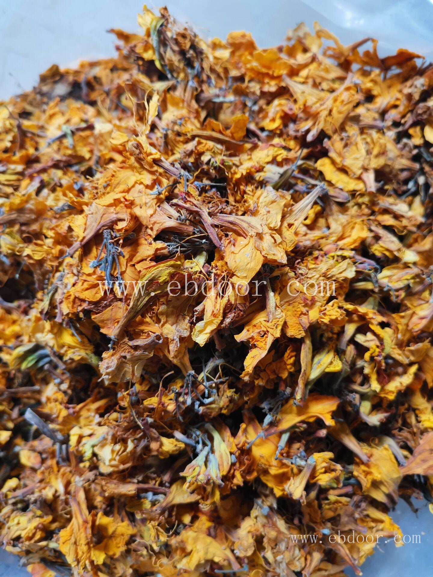 闹羊花 上海闹羊花厂家供应