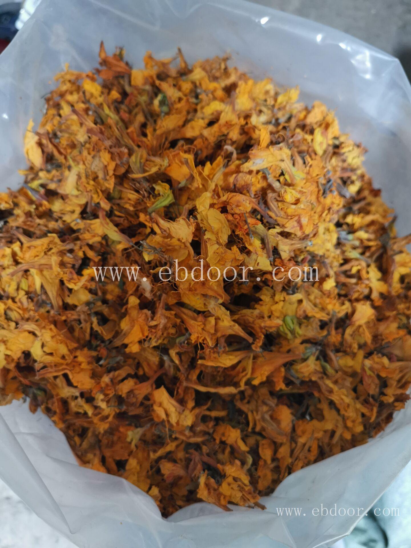 闹羊花 吉林闹羊花厂家供应