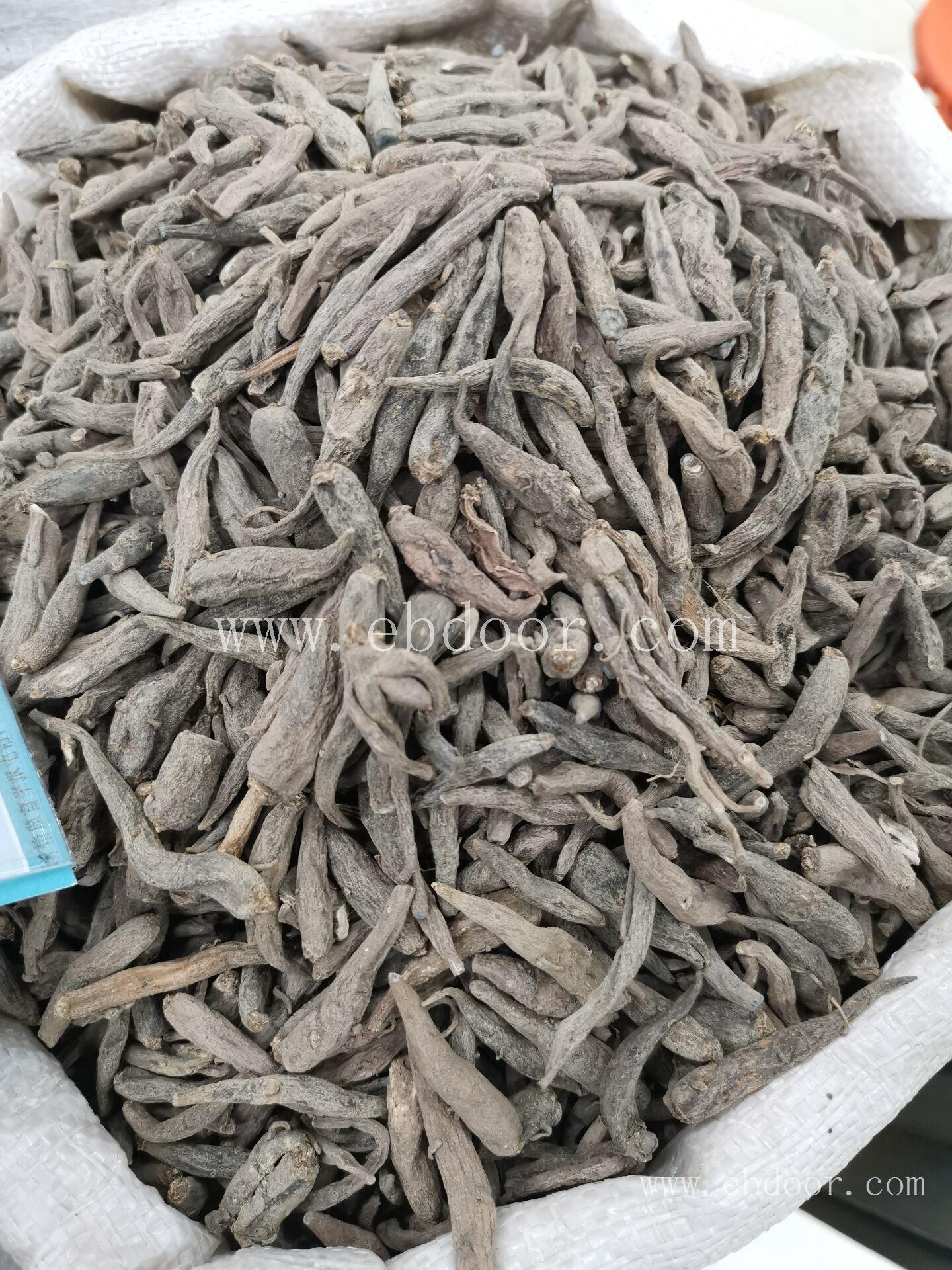双肾参 株洲双肾参定制