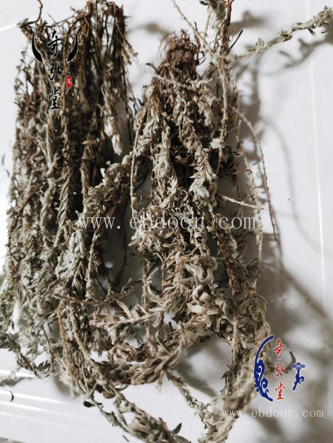 鹿茸草 怀化鹿茸草今日价格