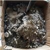 汕头回收锡渣 梅州回收焊锡块 盐田回收无铅锡条