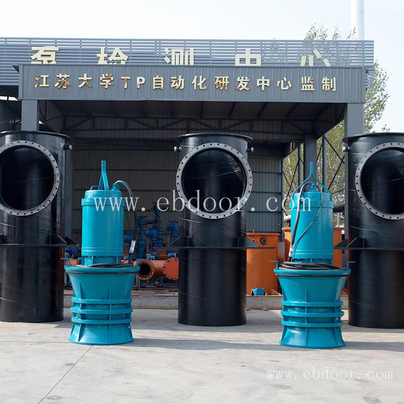 泵站排水大功率轴流泵厂家安装方案