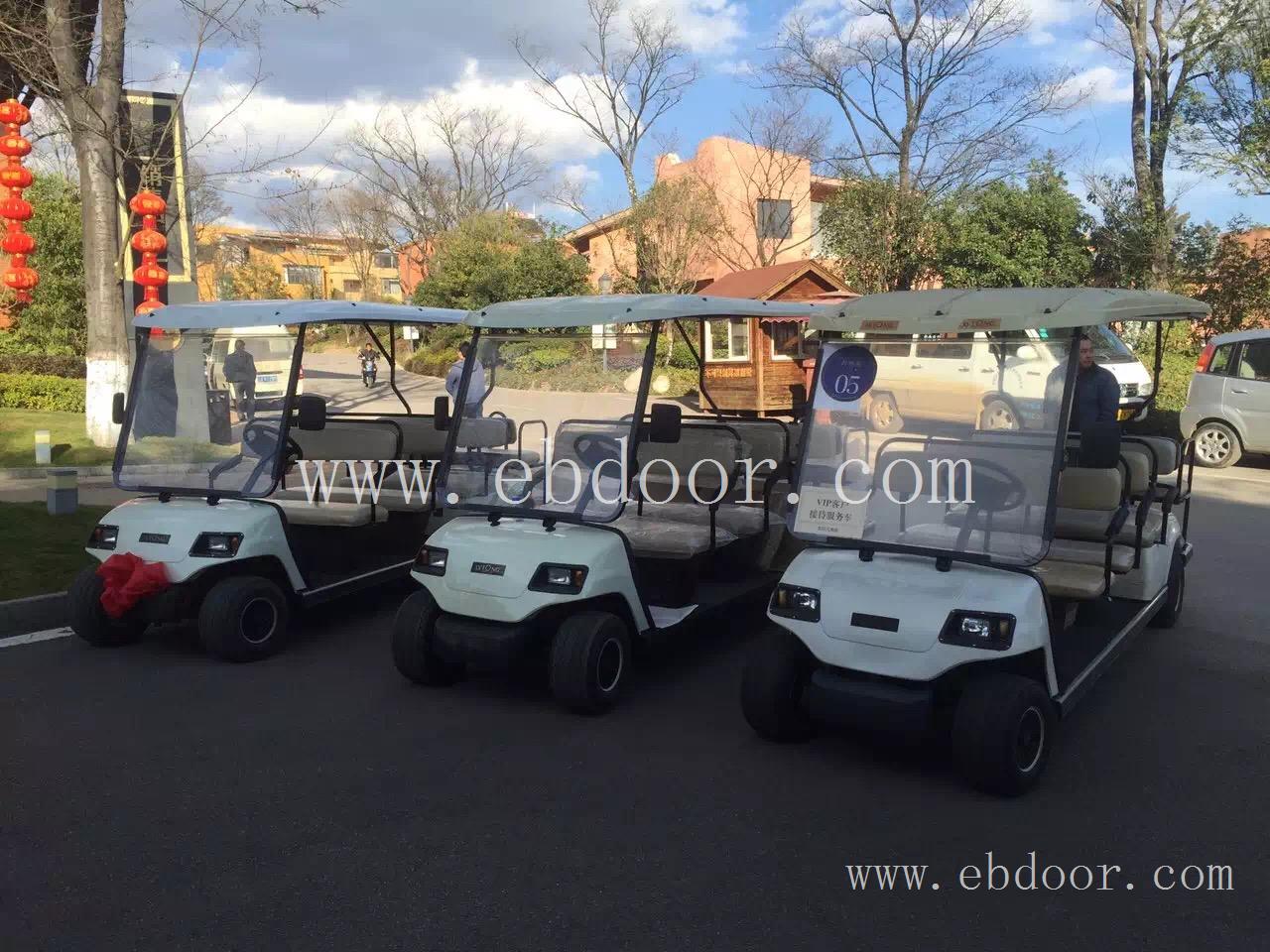 电动高尔夫球车 锂电池高尔夫球车观光巡逻一车多用