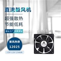 供应12025NMB双滚珠12v散热风扇 24V48V定制机箱机柜净化器风扇