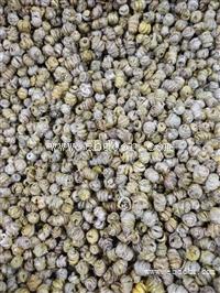铁皮石斛的功效作用