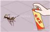 河南灭蚊蝇服务,郑州蚊蝇治理,焦作消灭蚊蝇方法