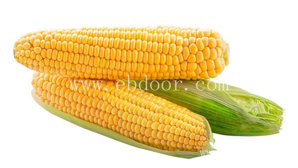 辉县小麦玉米种子_辉县小麦玉米种子零售_辉县水稻种子价格