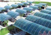 供应台湾格力龙阳光板、耐力板价格 