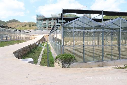 四川玻璃温室大棚搭建_云南玻璃温室大棚_贵州玻璃温室大棚厂家