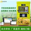 智能无人碾米机_东莞智能碾米机销售_潮州无人碾米机厂家