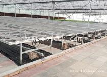 四川玻璃温室大棚厂家_绵阳玻璃温室大棚搭建_成都玻璃温室大棚
