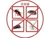 河南灭蟑螂服务,郑州灭蟑螂收费,河南除蟑螂方法
