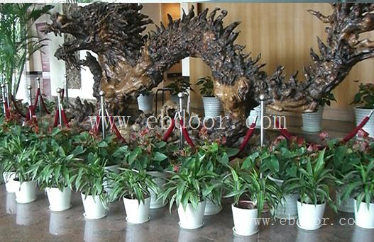 眉山盆栽植物租赁_雅安鼠尾草价格_广安花境植物销售