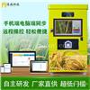 肇庆共享碾米机销售_广州共享鲜米机安装_深圳智能鲜米机生产