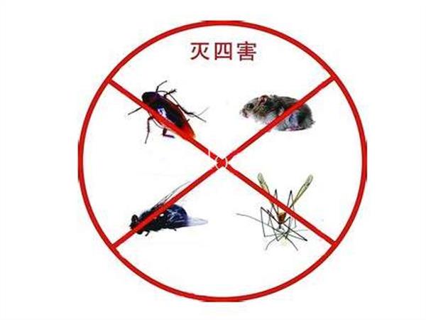 河南蟑螂消杀服务,郑州除蟑螂业务,焦作灭蟑螂咨询