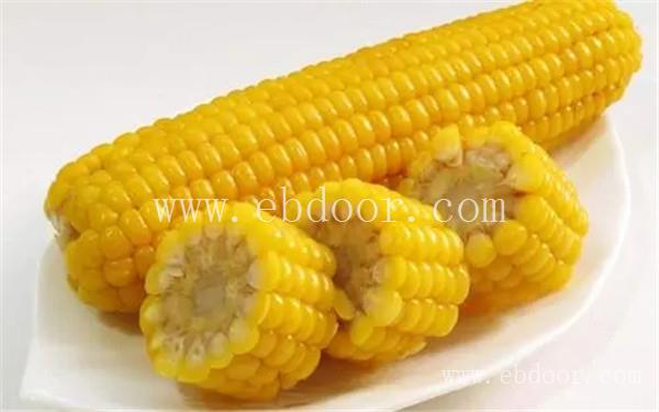 郑州粘玉米种子公司