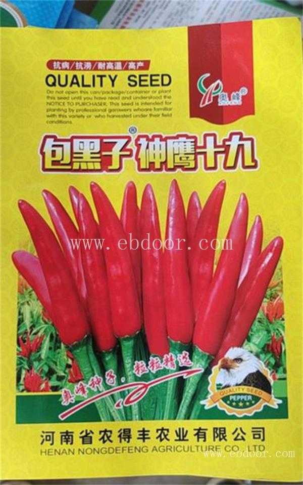 河南朝天辣椒种子那家好