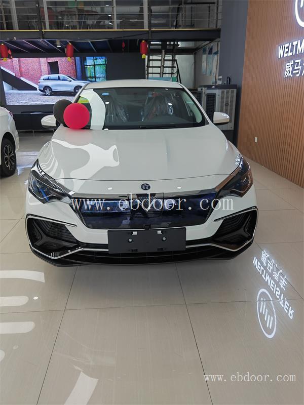 新都家用新能源汽车价格