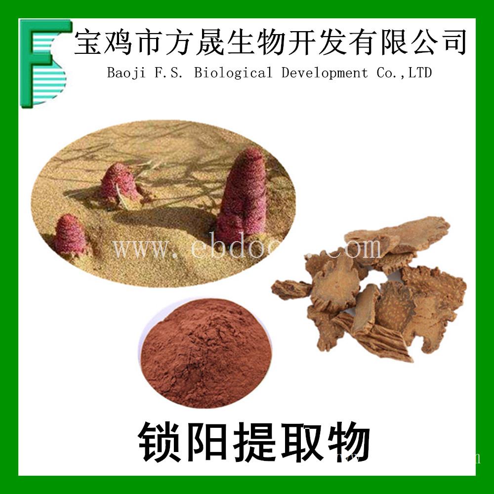 陕西锁阳提取物加工