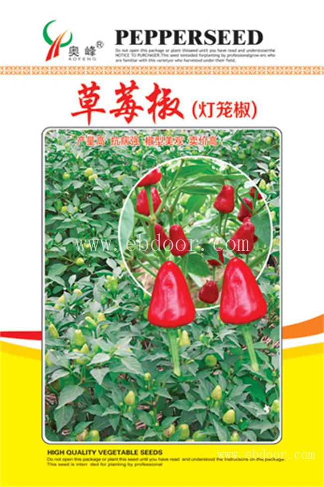 山东朝天辣椒种子种植