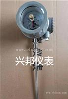 咸阳暖气温度仪表生产