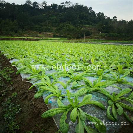 成都新型生物有机肥价格