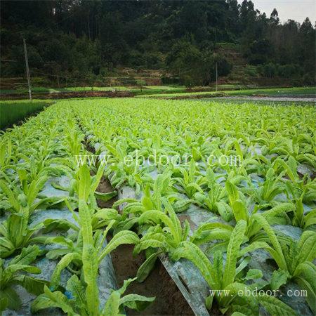 成都生物有机肥销售