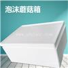 登封彩色泡沫箱定制