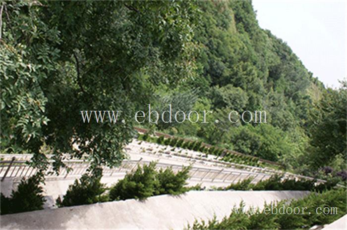 蓝田D型墓地价格咨询