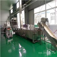 成都大型火锅底料设备哪家好