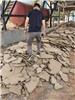 四川砂石场泥水分离设备厂家