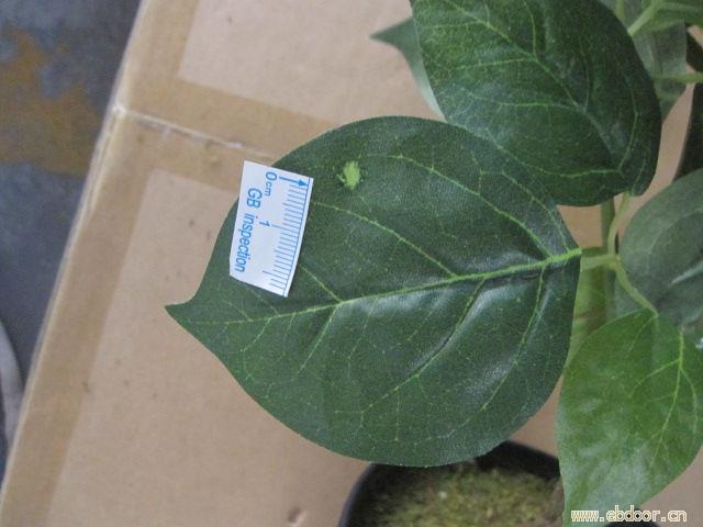 深圳荣益检验，产品质量检验，全数检查，抽样检查