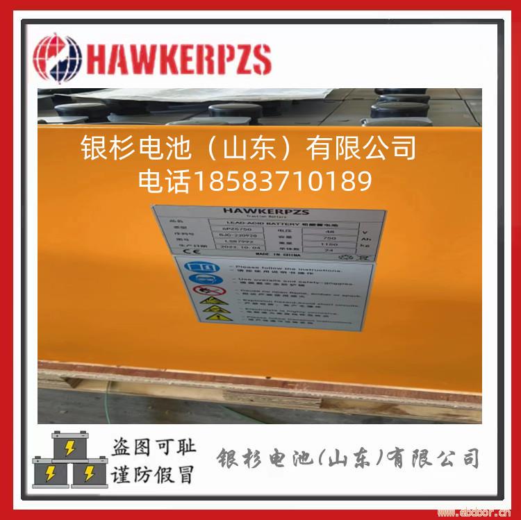 定制 英国HAWKER电瓶霍克叉车蓄电池7PzS560 牵引用电池 48V560AH 进口