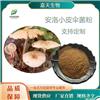 安洛小皮伞菌粉 10:1 小皮伞多糖 多种规格 1kg起订 包邮