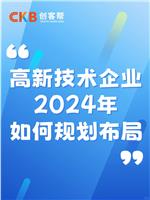 2024年高新技术企业规划布局