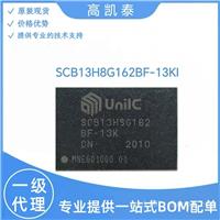 SCB13H8G162BF-13KI