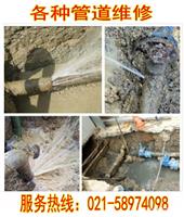 上海浦东泥城地下水管漏水检测，查消防管漏水，测自来水漏水（精准定位漏水点）