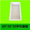 60x30x5平石